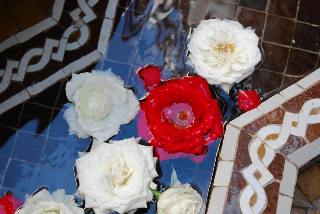 Riad Viva Marraquexe Exterior foto Roses at the fountain